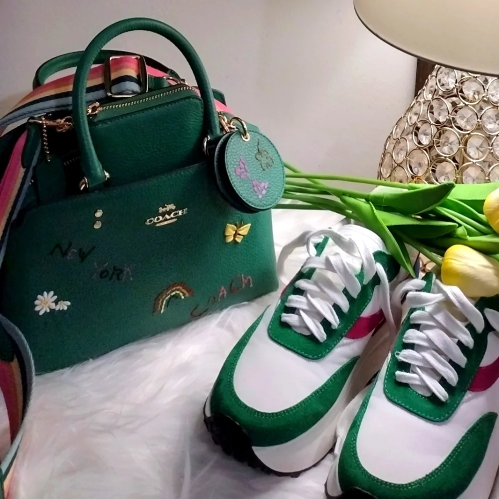 Coach mini Lillie carryall with Diary Embroidery Bag - Picture 9 of 14